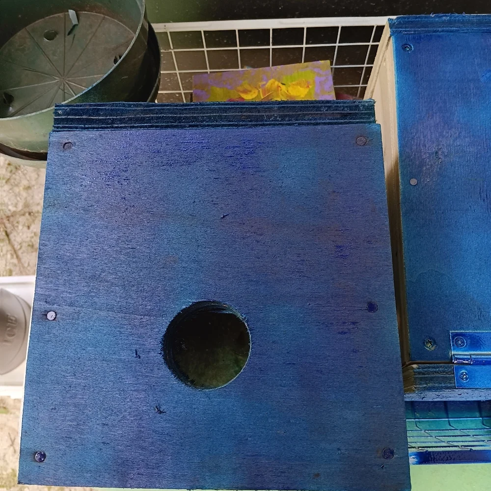 woodpeckers llc nesting boxes
